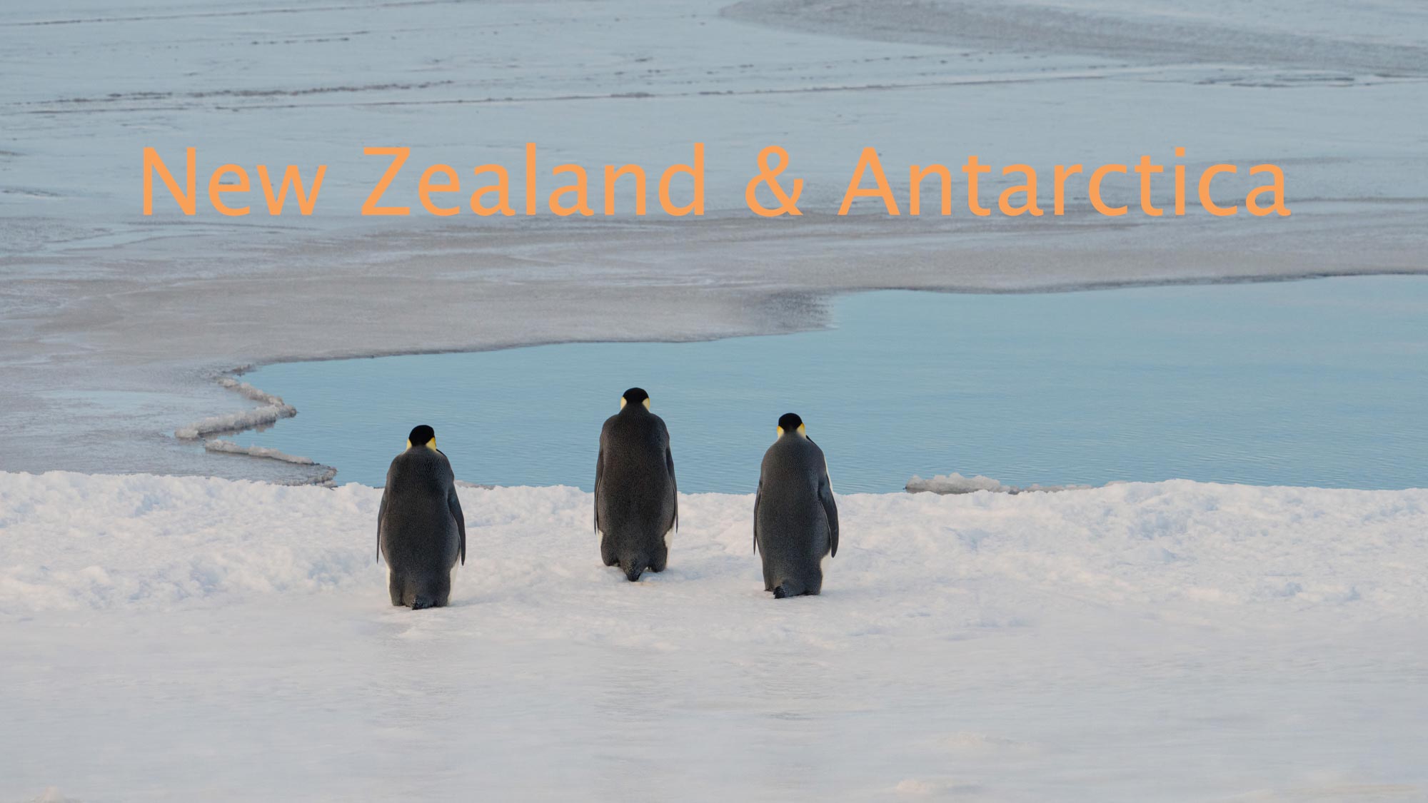 Titelbild_Antarktis missing