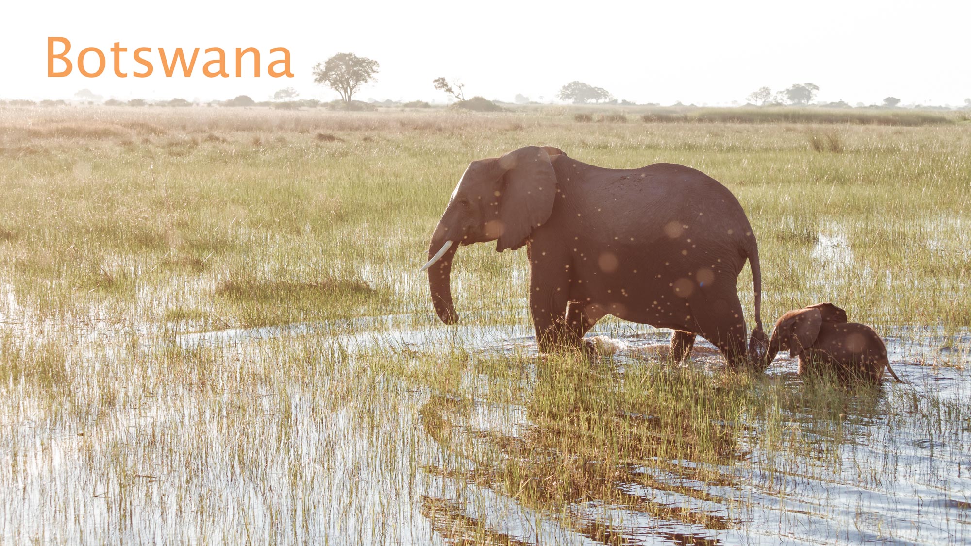 Titelbild_Botswana missing