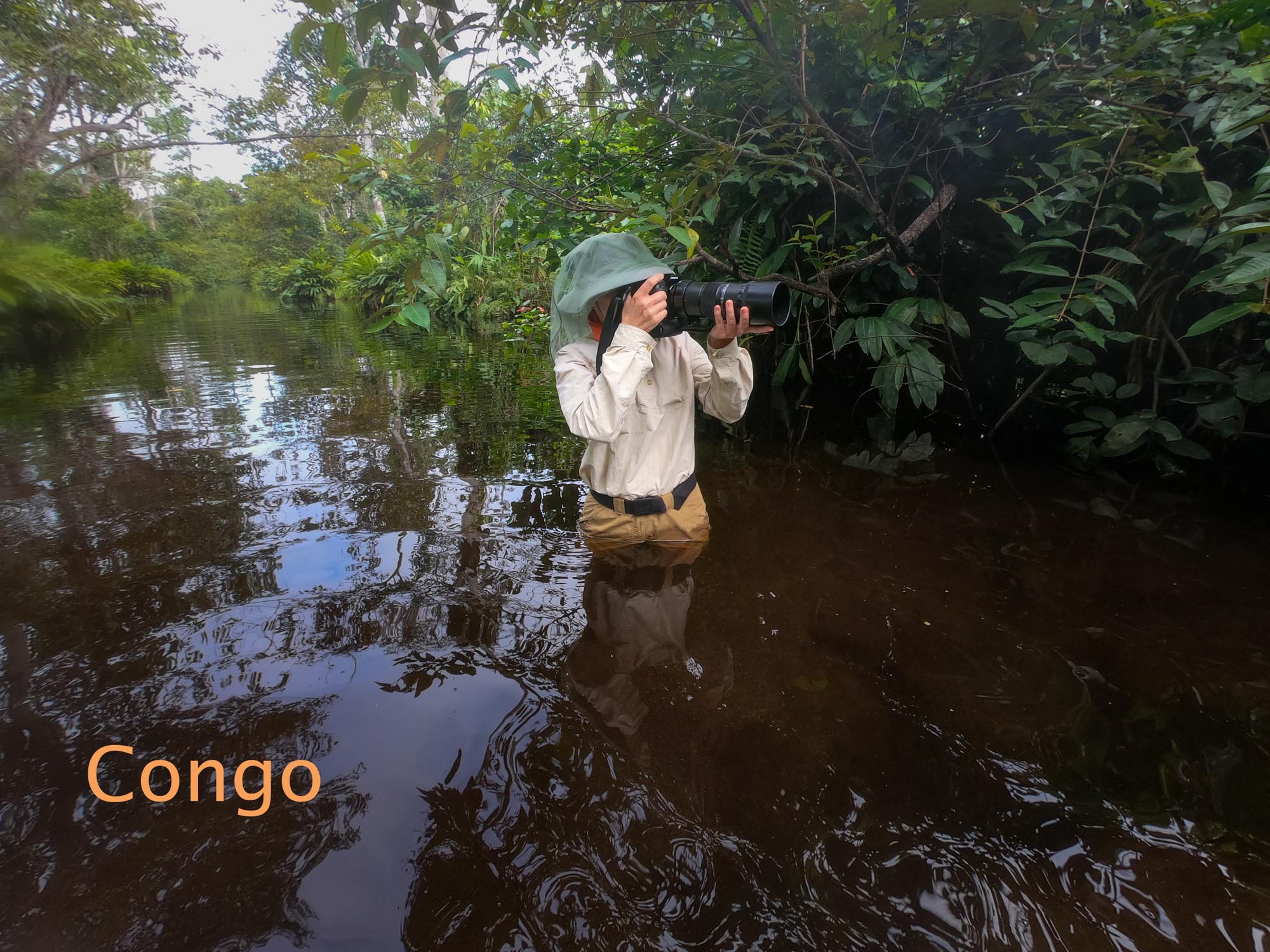 Titelbild_Congo missing